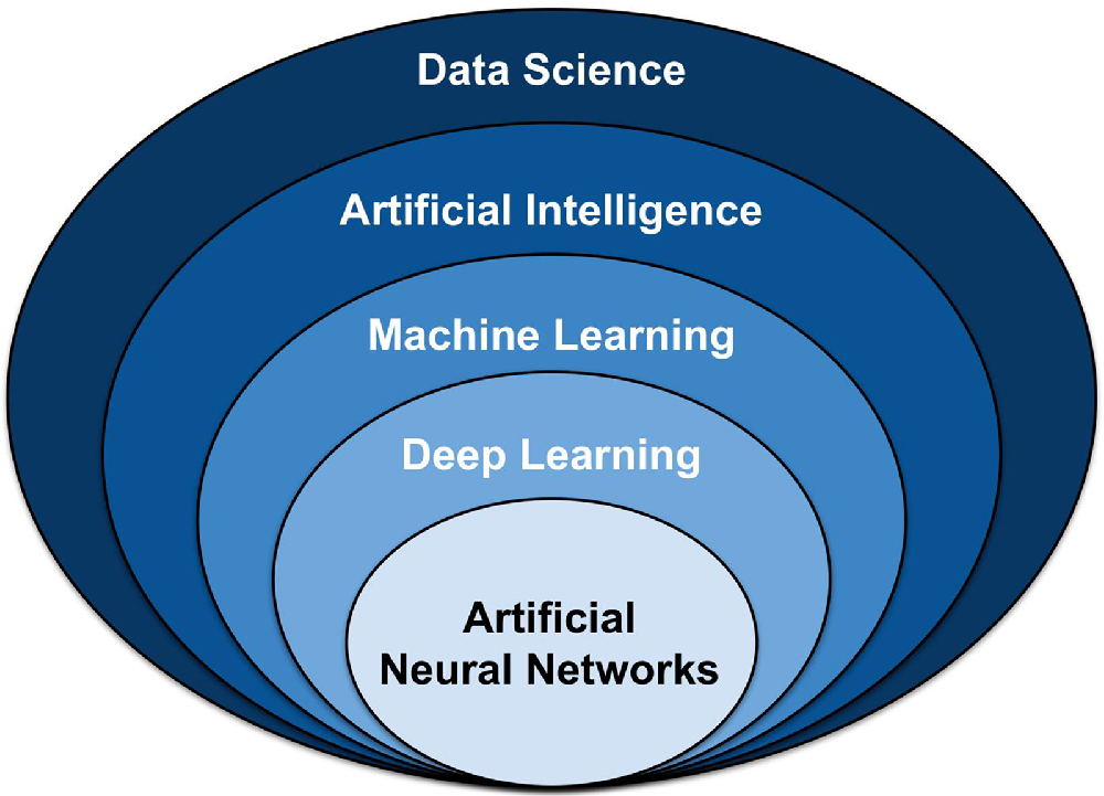 AI Course Curriculum